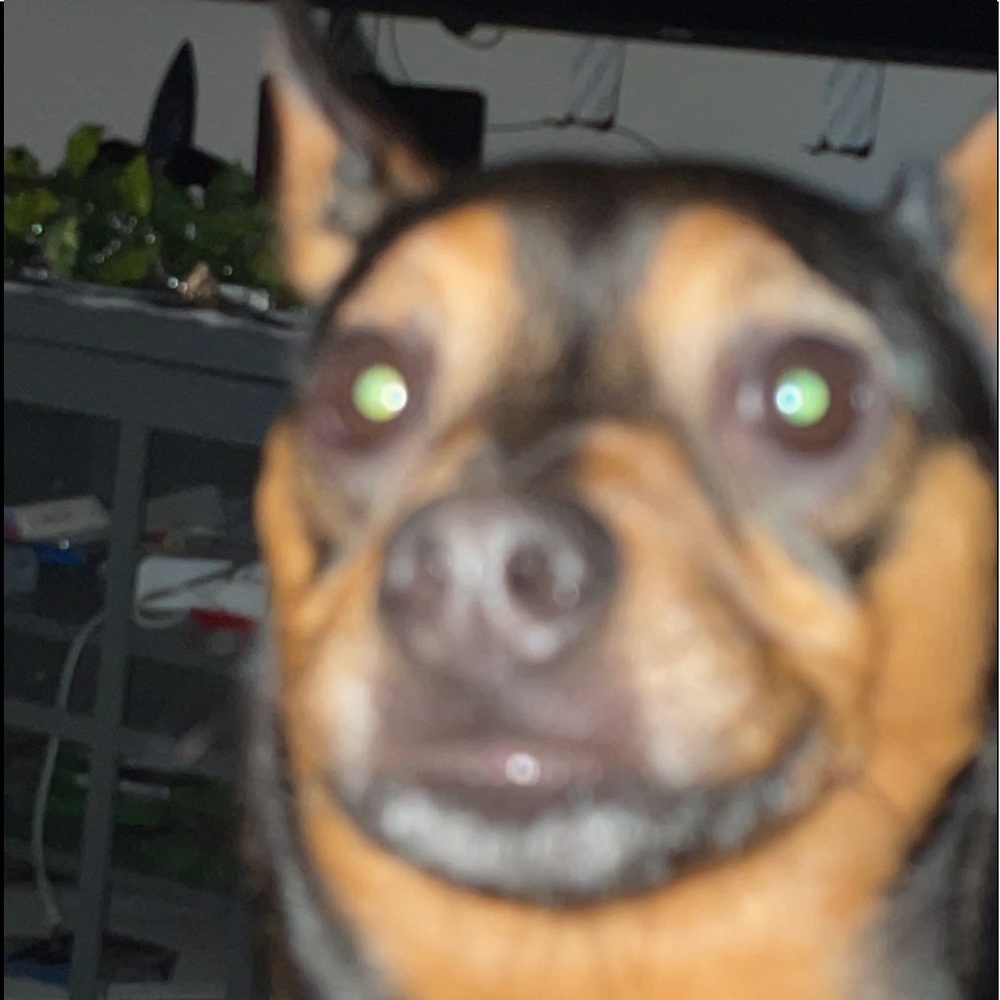 Meet your Posher, Mason